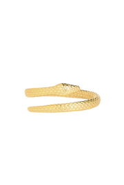 Python Ring in Gold